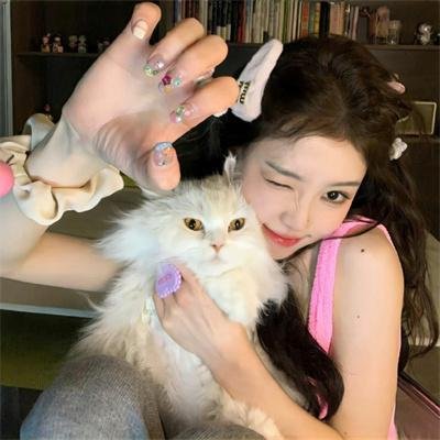 喜多郎的十五少女漂流记